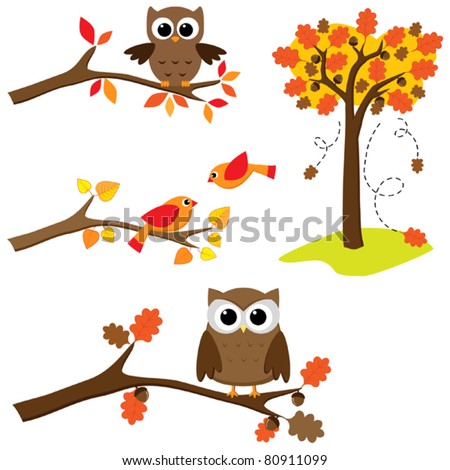Set of autumn nature elements: owls and birds on branches and oak tree