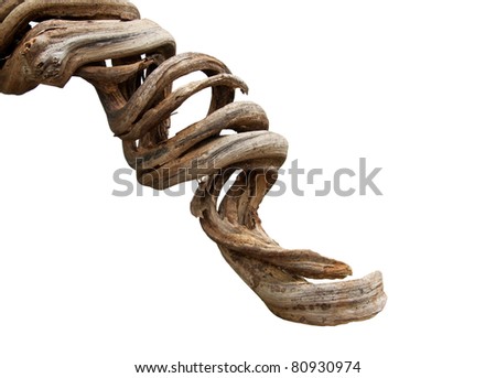 Dried roots isolated on white background. Royalty-Free Stock Photo #80930974