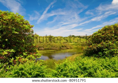 a large pond surrounded by vegetation and reflecting a beautiful blue sky