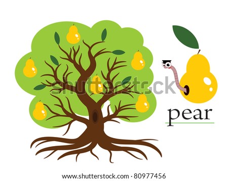 Pear tree,vector