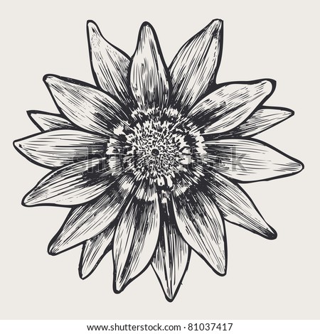 floral design element, engraved retro style. vector illustration