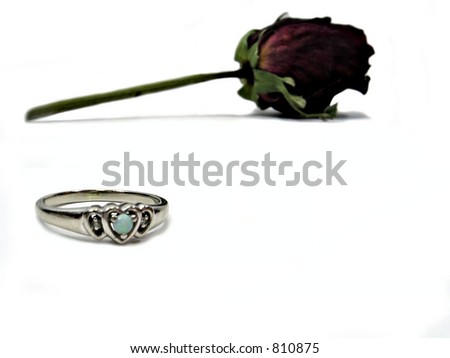Ring and Red Rose