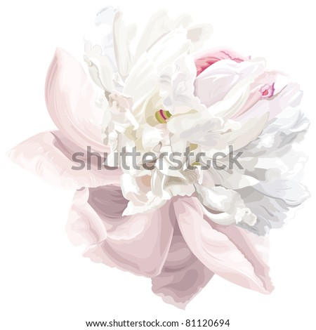 Luxurious white peony flower painted in pastel colors Royalty-Free Stock Photo #81120694