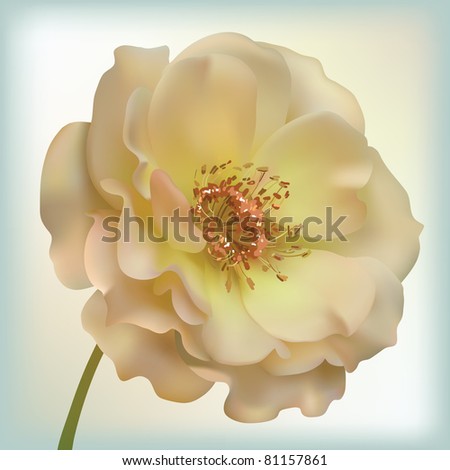 mesh rose flower