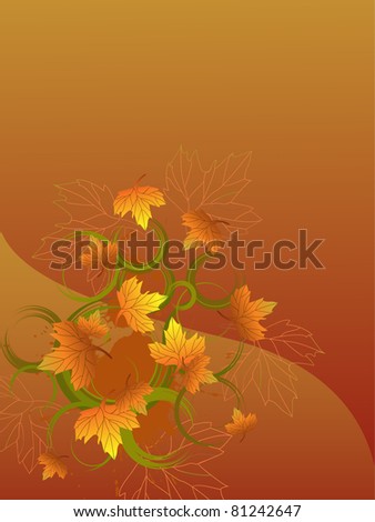 autumn leaves - vector