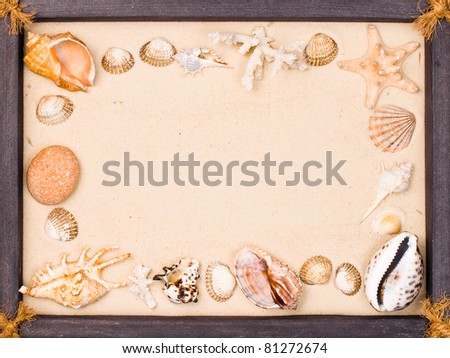 Wooden frame with seashells and starfish on sand