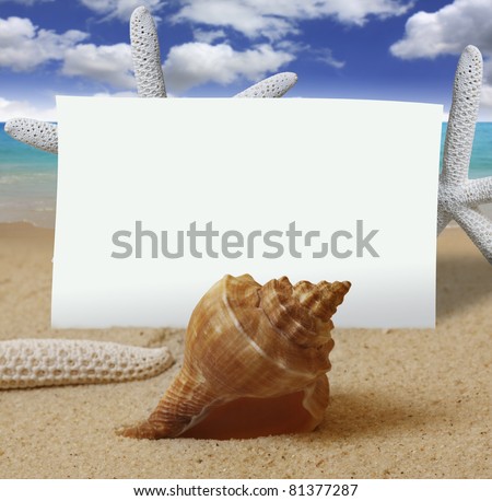 shells with sand and paper