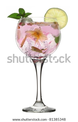 Gin cocktail. Cocktail with gin and lemon with ice on white background Royalty-Free Stock Photo #81385348
