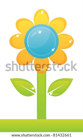 colorful flower isolated on white