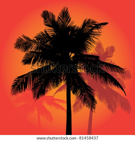 A trio of tropical coconut palm tree silhouettes illustration in vector format.