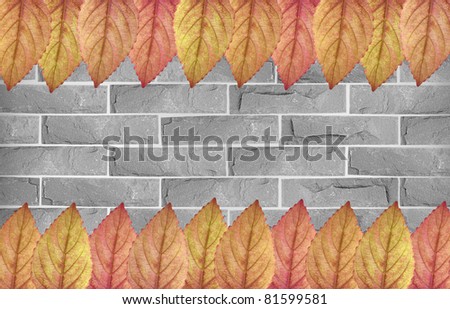 Beautiful color leaves on grey brick wall