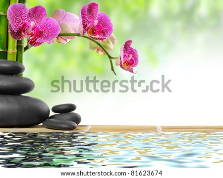 zen basalt stones and bamboo with dew