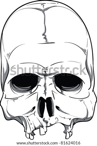 Vector Skull Illustration
