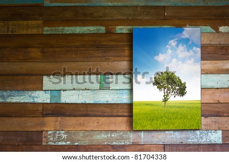 Nature photo on wood wall
