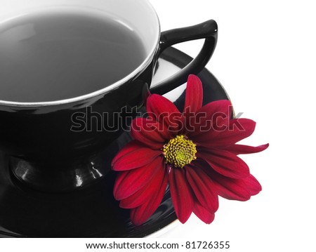 Black and white photo of a black teacup and red chrysanthemum flower in color