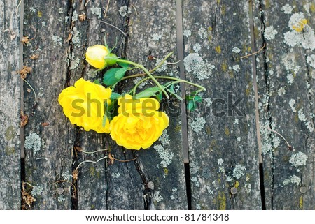 Background with wood and roses. Copy space
