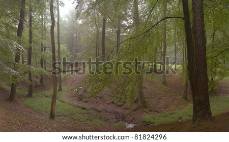 Laubwaldpanorama nach einem Regenschauer