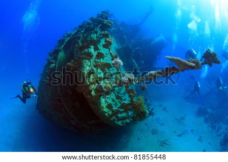 Diving in the Red Sea Royalty-Free Stock Photo #81855448