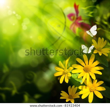 Abstract summer background. Flower and butterfly