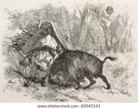 Old illustration of a bull fighting against a buffalo. Created by Morin after Palliser, published on Le Tour du Monde, Paris, 1860
