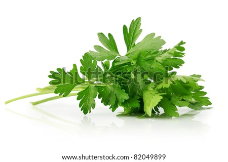 green leaves of parsley isolated on white background Royalty-Free Stock Photo #82049899