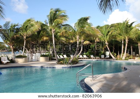 Upscale swimming pool in the Florida Keys, surrounded by healthy palm trees Royalty-Free Stock Photo #82063906