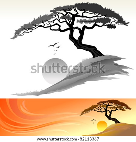 TREE AND SUN LANDSCAPE