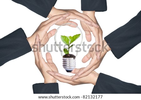 Hands protecting green tree in light bulb, isolate on white