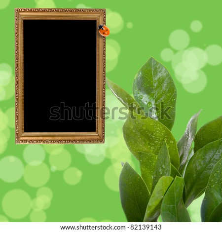 Wooden frame on a green background with leaves and ladybug