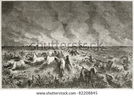 Old illustration of fire in north-American prairie and animals escaping. Created by Dore after Caitlin, published on Le Tour du Monde, Paris, 1860