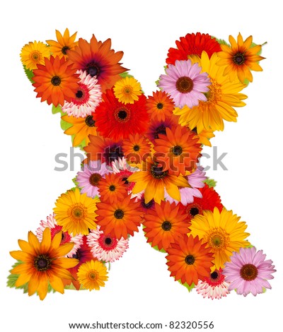 Flower alphabet isolated on white. Letter X