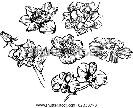 composition of flowers