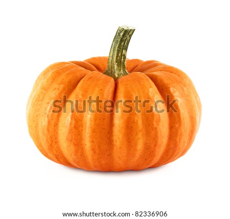 Studio shot of a nice ornamental pumpkin on pure white background