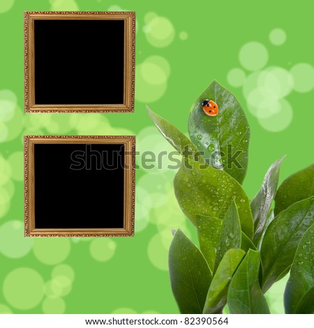 Wooden frames on a green background with leaves and ladybug