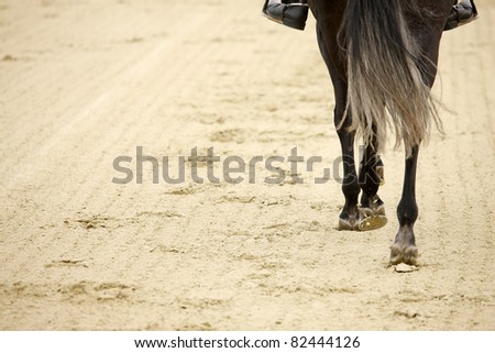 A picture of an equestrian on a horse in motion over natural background