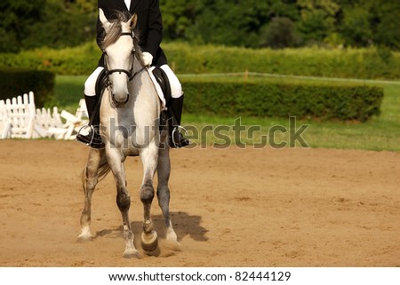 A picture of an equestrian on a white horse in motion over natural background