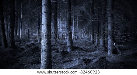 Spooky blue forest with dry trees