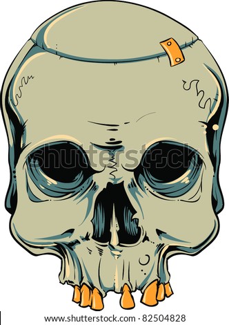 Vector skull illustration
