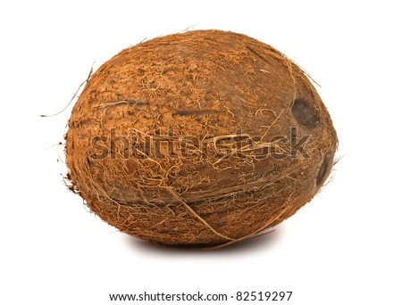 Single hairy coconut isolated on white background