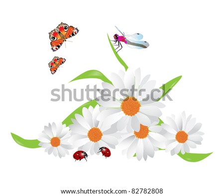 Bouquet of camomiles, ladybirds, butterflies and dragonfly.