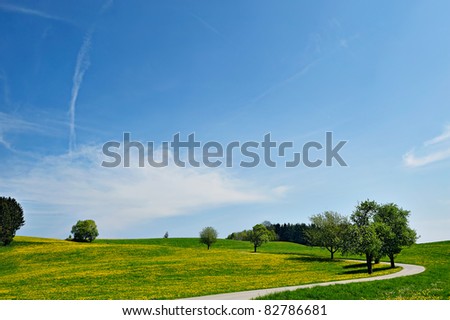 Blue sky over farmland landscape. Panoramic picture with green fields and a rural country road.