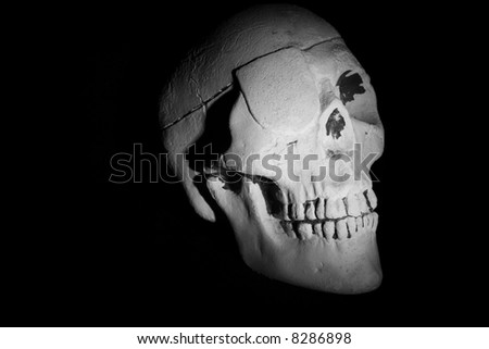 Pirate Skull in Creepy Light