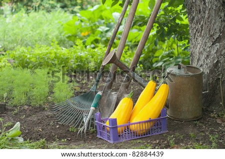retro design watering can on a vegetable patch