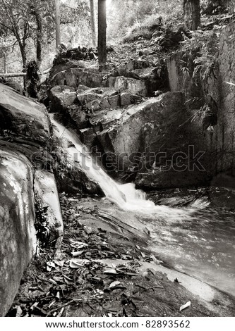 Medium Format films photography 6x4.5 waterfall