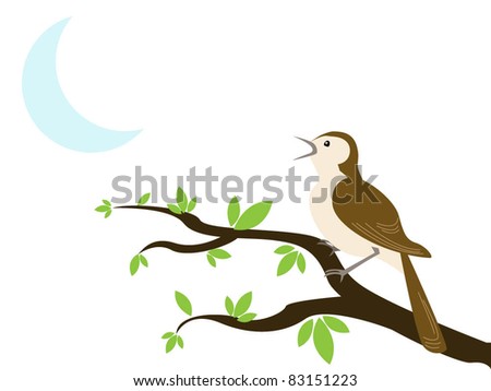 Nightingale sings on a branch in the moonlight