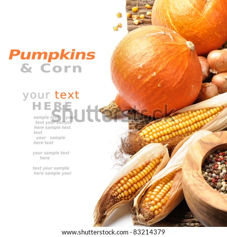 Pumpkins and fall vegetables over white background with copyspace