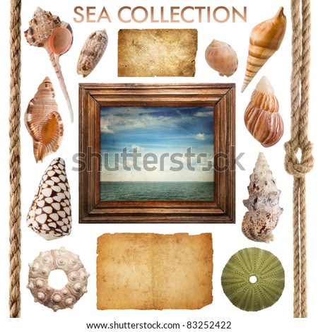 sea collection