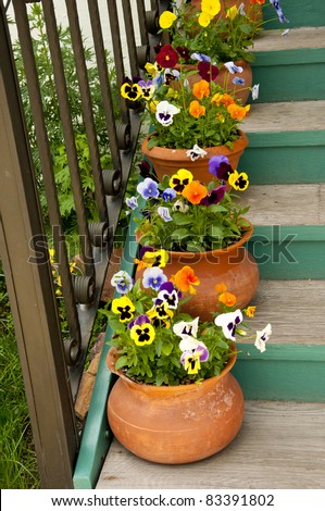 Flower pots lining stair steps Royalty-Free Stock Photo #83391802