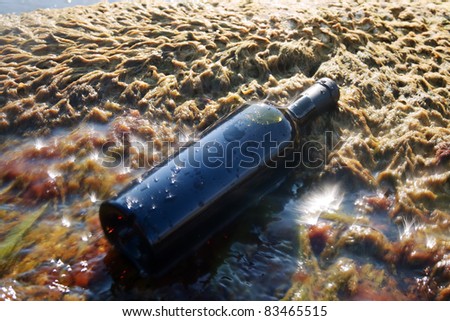 Wine in the bottle lying on the beach.