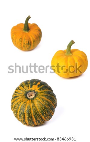 Mini pumpkin isolated on white background